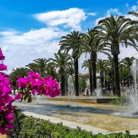 Nautilus Vistas Mar, Nuevo Centro Салоу